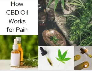 how to used cbd oil