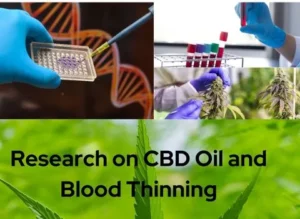 Research on CBD Oil and Blood Thinning