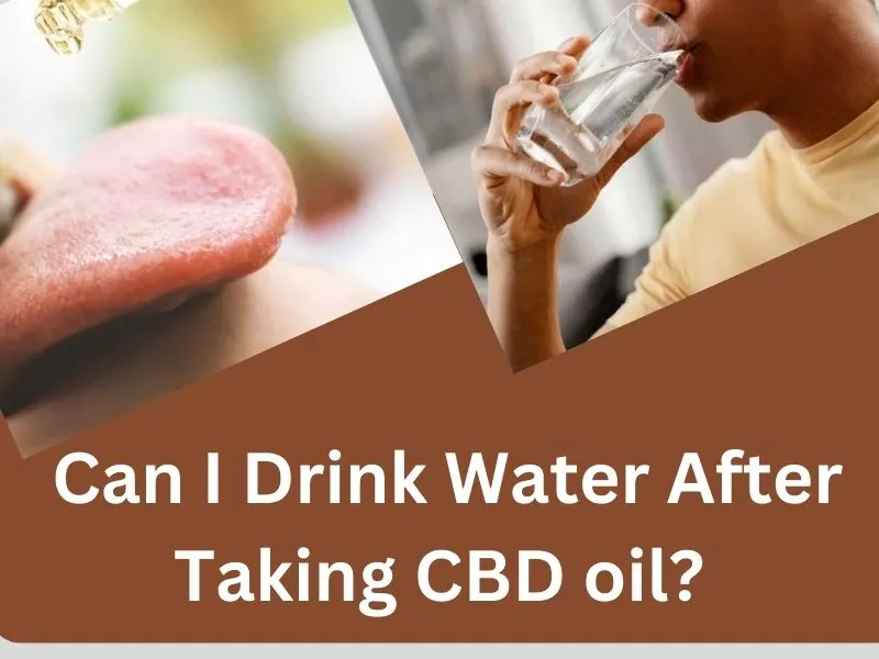 can i drink water after taking cbd oil 