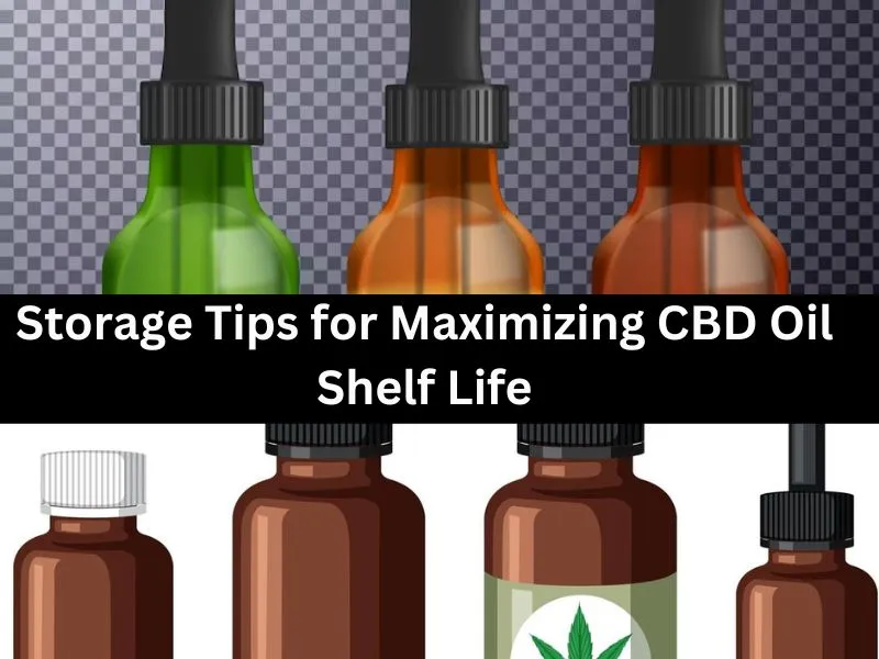 Storage Tips for Maximizing CBD Oil Shelf Life