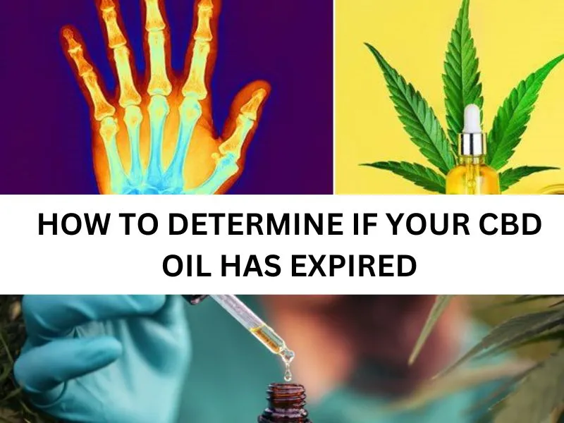 HOW TO DETERMINE IF YOUR CBD OIL HAS EXPIRED